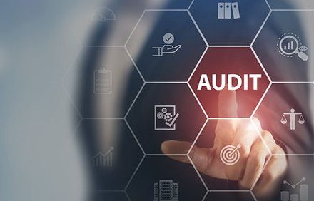 Which-Types-of-Entities-Need-a-Financial-Audit