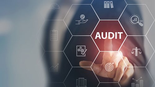 Which-Types-of-Entities-Need-a-Financial-Audit